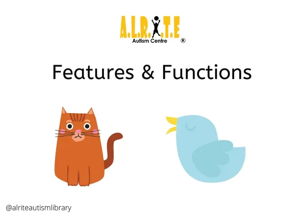 Functions and Features